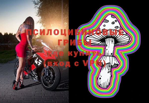 прущая мука Аркадак
